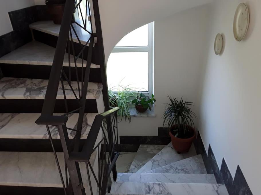 Le Jasmin Da Marina Apartment